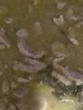 Bistec de cerdo en salsa de jitomate verde