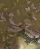 Bistec de cerdo en salsa de jitomate verde