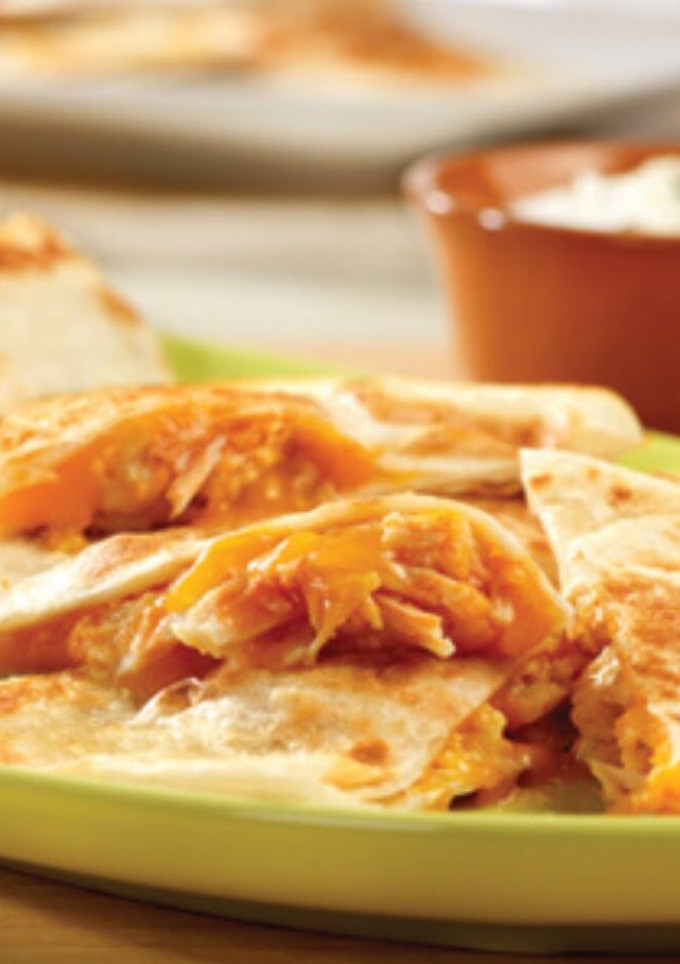A picture of Chicken & Salsa Quesadilla.