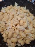 Pasta with Cauliflower (White Sauce)