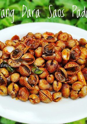 Foto resep Kerang Dara Saos Padang