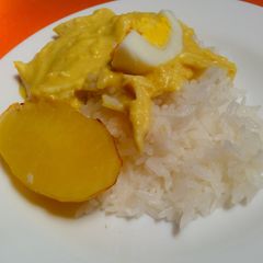 A picture of Ají de gallina (Peruvian dish).