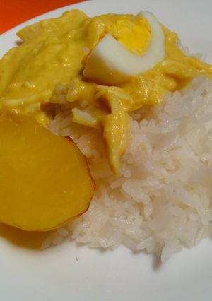 A picture of Ají de gallina (Peruvian dish).