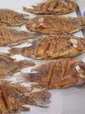 Mojarra Tilapia Empanizada y Frita en el Disco