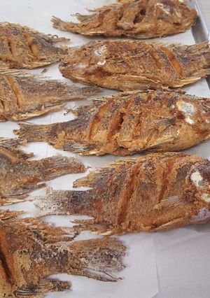Una foto de Mojarra Tilapia Empanizada y Frita en el Disco