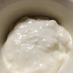 A picture of Kefir & Soy Milk Yogurt.