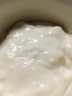 A picture of Kefir & Soy Milk Yogurt.