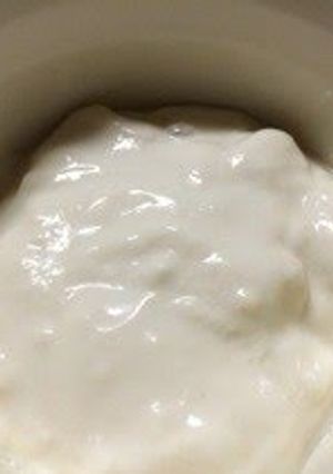 A picture of Kefir & Soy Milk Yogurt.