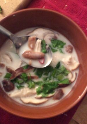 A picture of Thai Coconut Soup.