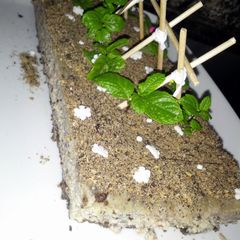 A picture of Oreo cheese cake.