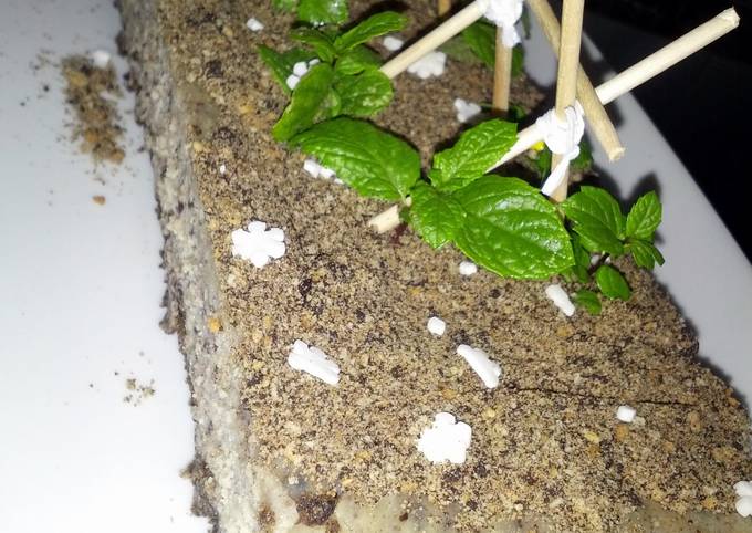 Recipe of Speedy Oreo cheese cake