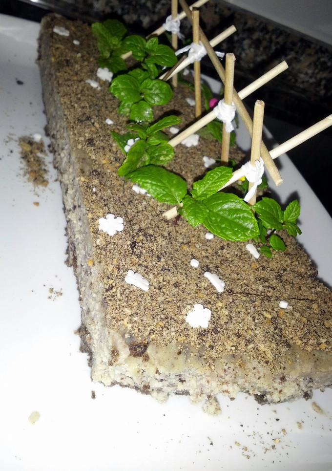 A picture of Oreo cheese cake.
