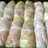 Cee's Cabbage Rolls