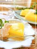 2 Layer Bavarois Jello