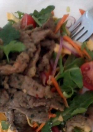 A picture of Thai beef salad.