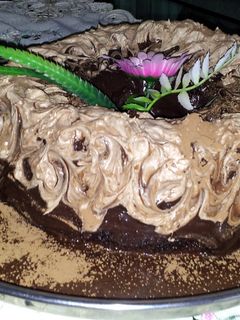 A picture of chocolate cake with coca suripe.
