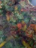spiced mixed veggies in ghee