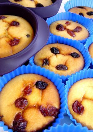 A picture of Healthy Okara Snack Honey Lemon Muffin and Cake.