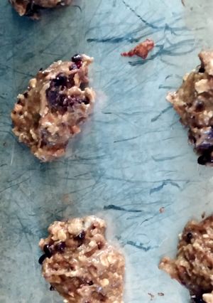 A picture of Peanutbutter cranberry protein cookies.