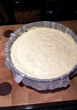 A picture of Zesty cheese cake.