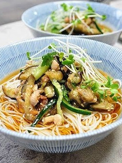 A picture of Picked Plum and Vegetable Stamina Somen Noodles.