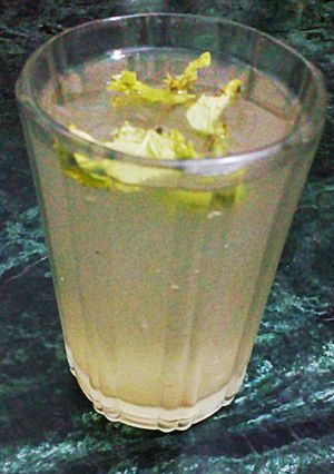 A picture of Nimbu mint shikanji.