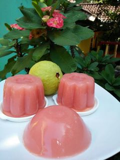 Foto resep Puding jambu biji merah