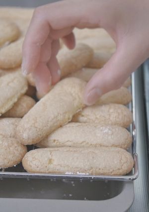 A picture of Ladyfingers (for Tiramisu).