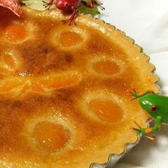 A picture of Canned Apricot Tart.