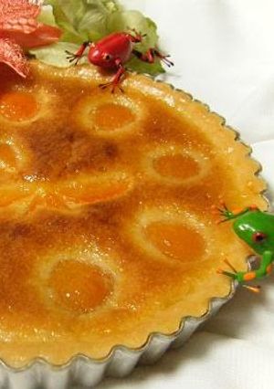A picture of Canned Apricot Tart.