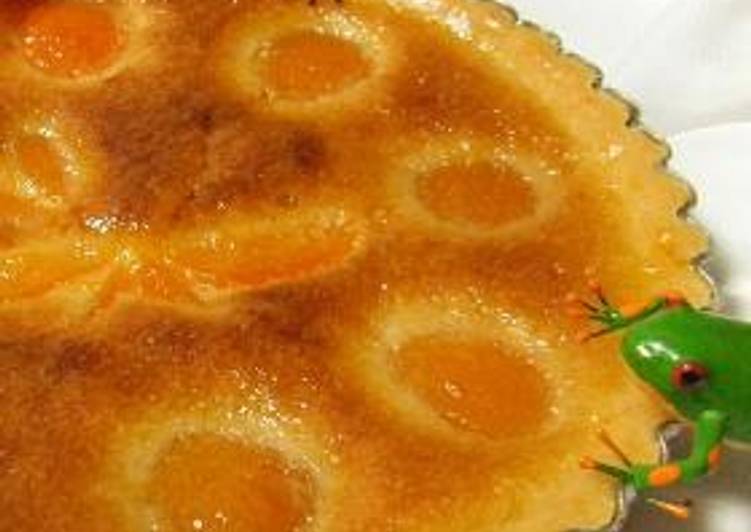 Recipe of Favorite Canned Apricot Tart
