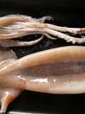 For Beginners - How to Prepare a Squid