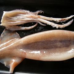 A picture of For Beginners - How to Prepare a Squid.