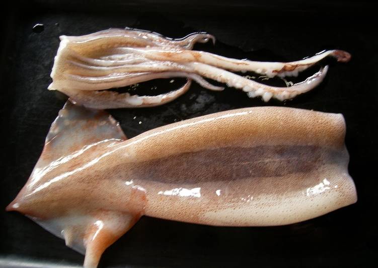For Beginners - How to Prepare a Squid
