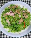 Rau mầm trộn thịt bò