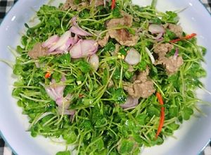 Hình của món Rau mầm trộn thịt bò.
