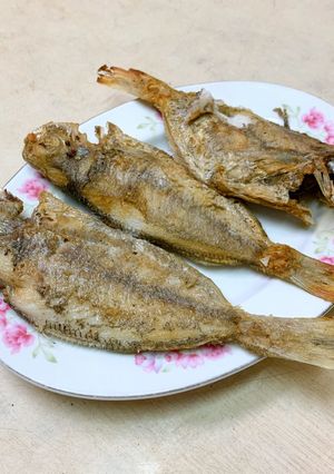 乾煎肉魚 的食譜成品照片