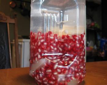 Without Fail Prepare Recipe Pomegranate Flavored White Rum Home Style