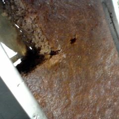 A picture of Dimi's walnut cake.
