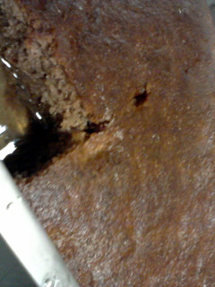 A picture of Dimi's walnut cake.