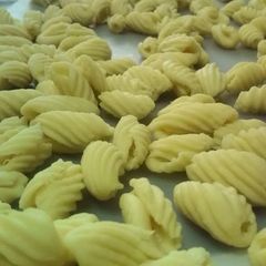 A picture of Easy Homemade Pasta Shells.