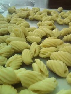 A picture of Easy Homemade Pasta Shells.