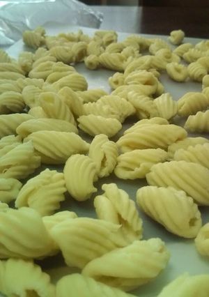 A picture of Easy Homemade Pasta Shells.