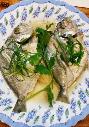 清蒸三角魚 的食譜成品照片