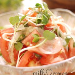 Tomato and New Harvest Onion Salad A picture of Tomato and New Harvest Onion Salad.