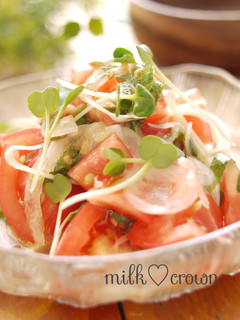 A picture of Tomato and New Harvest Onion Salad.