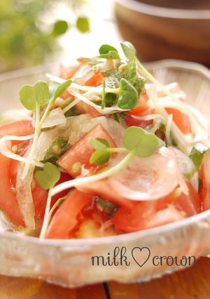 A picture of Tomato and New Harvest Onion Salad.
