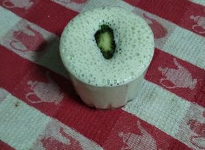 Una foto de Batido de kiwi 🥝 y plátano 🍌