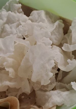 A picture of Rice Paper Chips.