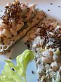 A Healthier Tuna Salad